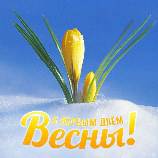 С добрым весенним утром