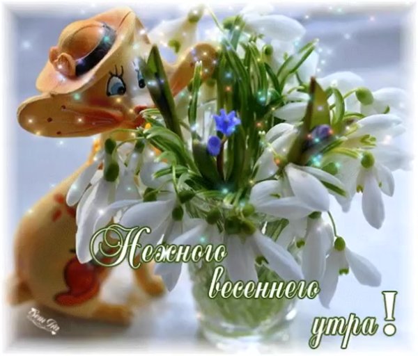 Весенние цветы в снегу