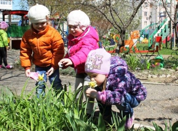 Весенняя прогулка в детском саду