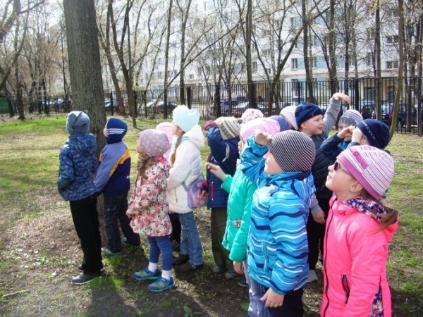 Весна для детей дошкольного возраста