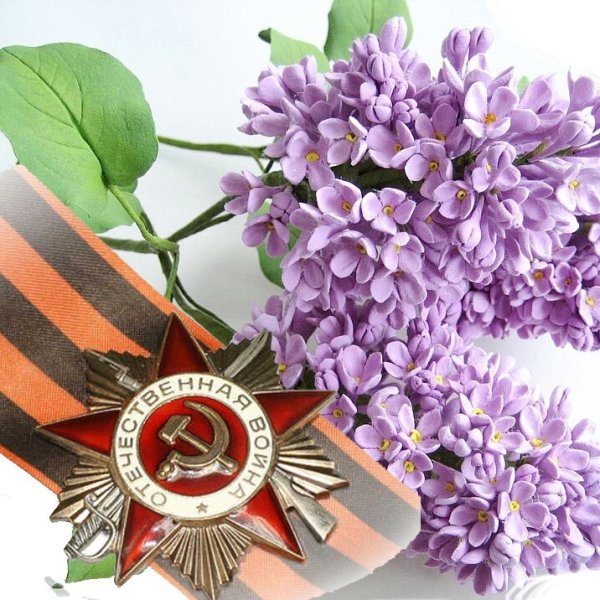 Сирень день Победы