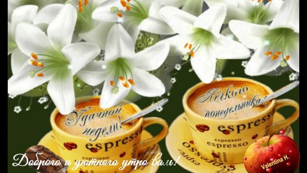 С добрым и хорошим весенним понедельником