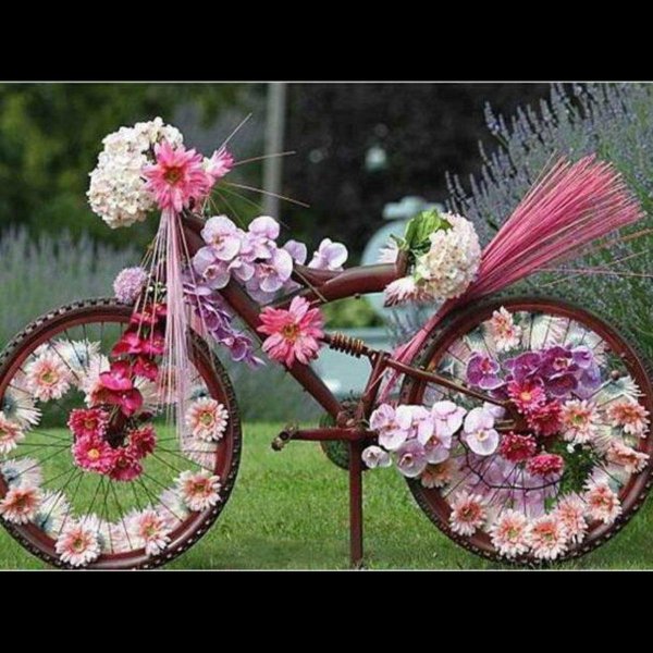 До. РОЕ утроуда, Ной Небели