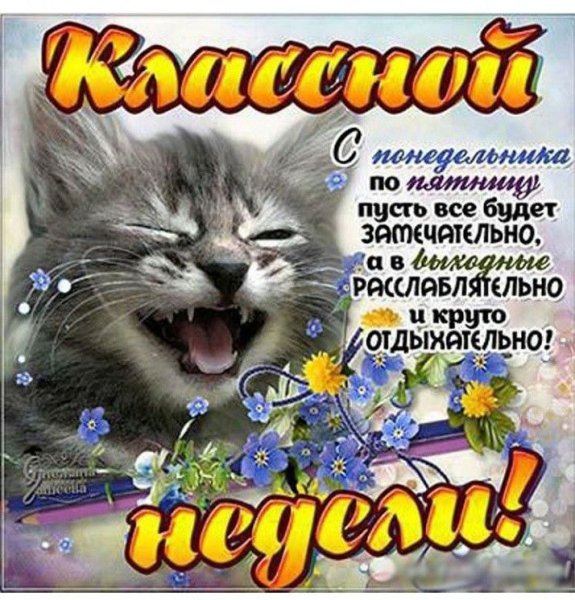 Поздравление с понедельником