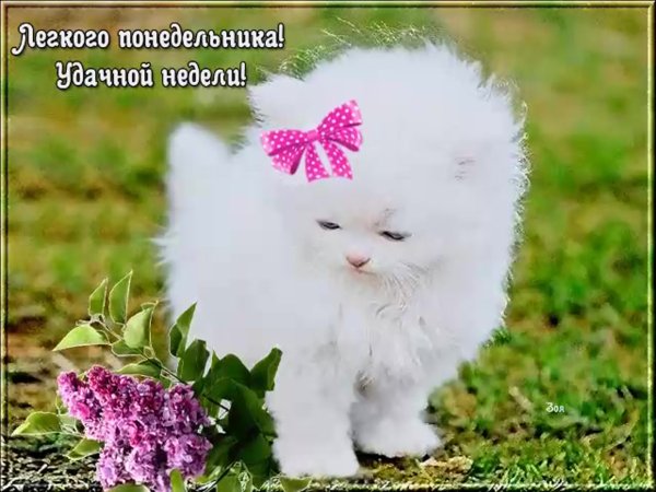 Легкого понедельника