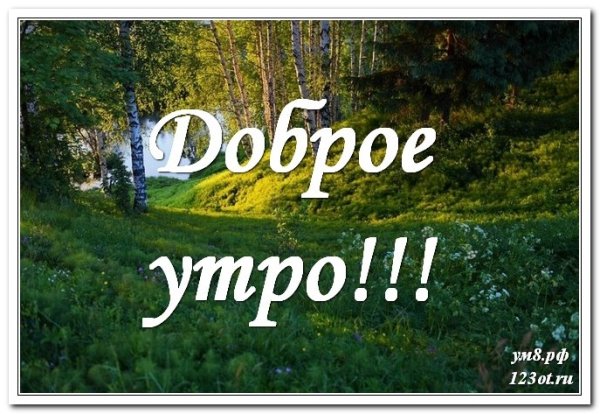 Доброе утро лес с надписью