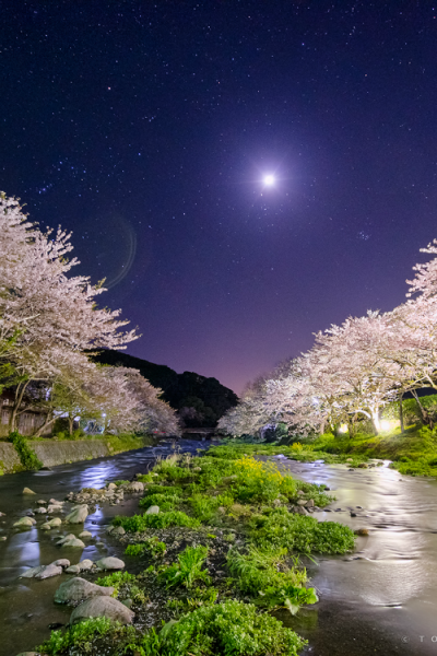 Доброй летней ночи