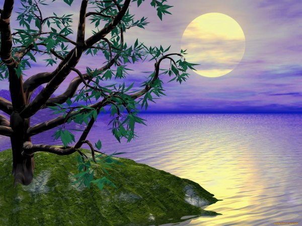 Доброй ночи