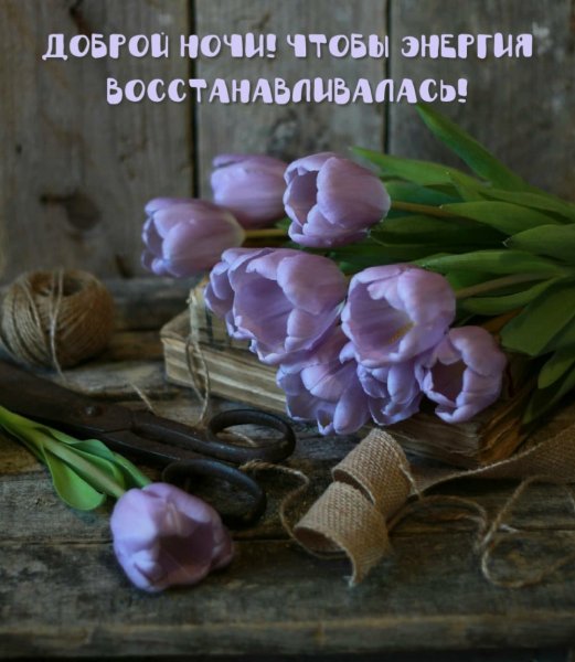 Спокойной ночи пусть тебе приснится