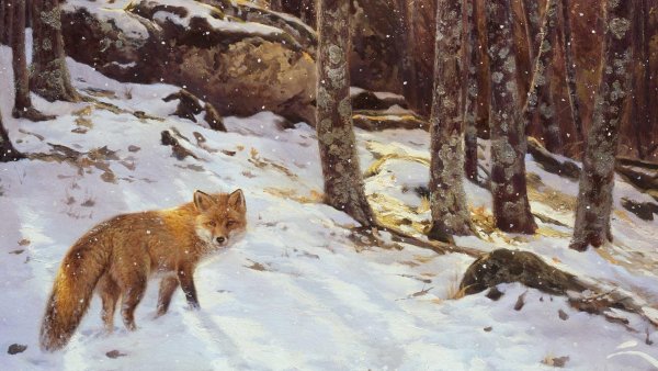 Лиса - зверь Макошев