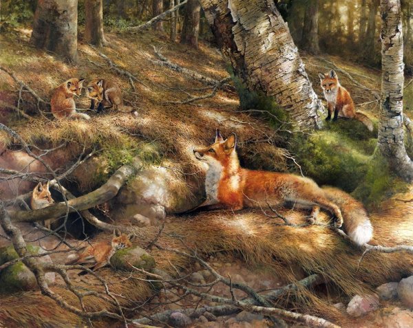 Звери зимой в лесу