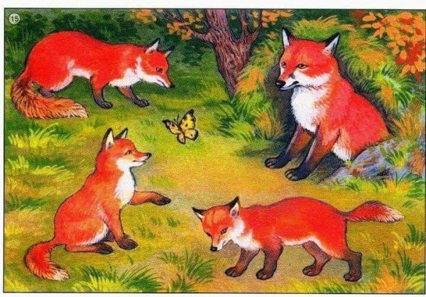 Лиса спит в цветах