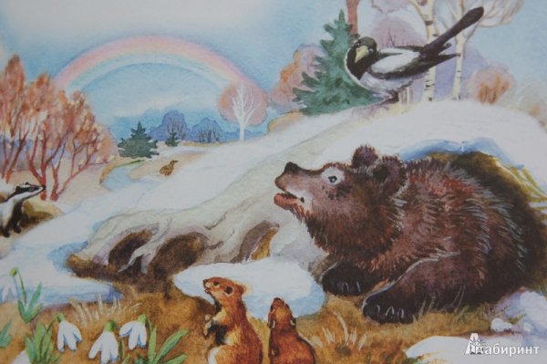 Медведь просыпается весной