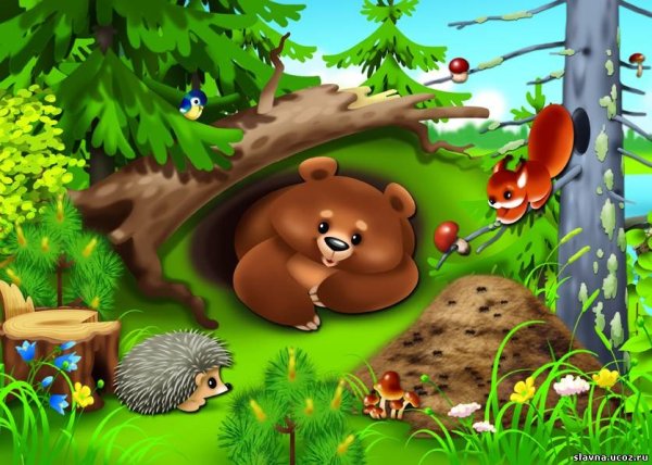 Художники-анималисты бурый медведь