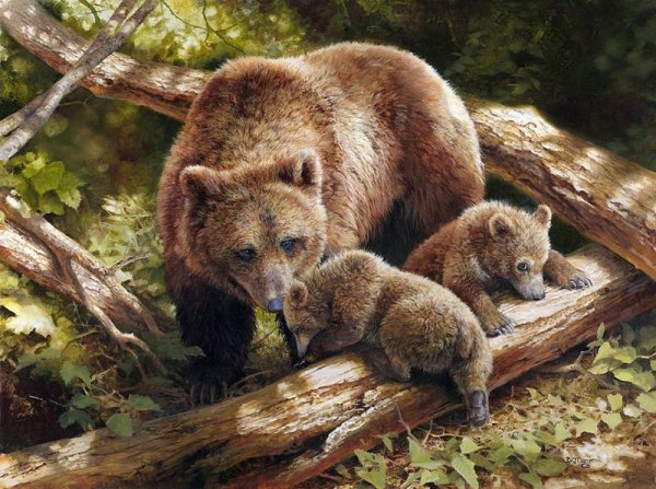 Медведь весной в лесу