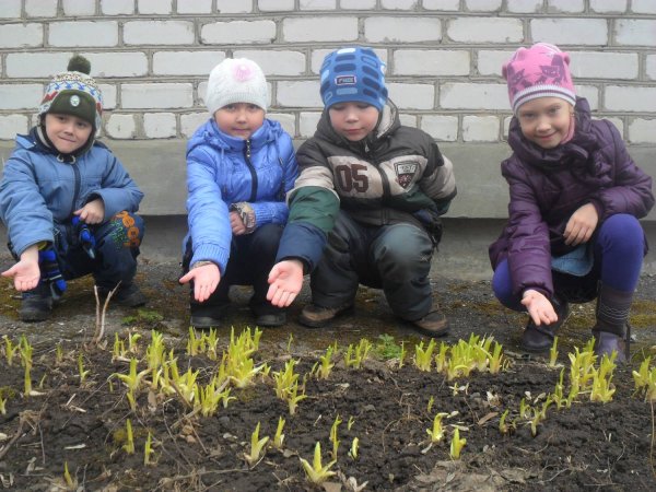 Дети на прогулке в детском саду