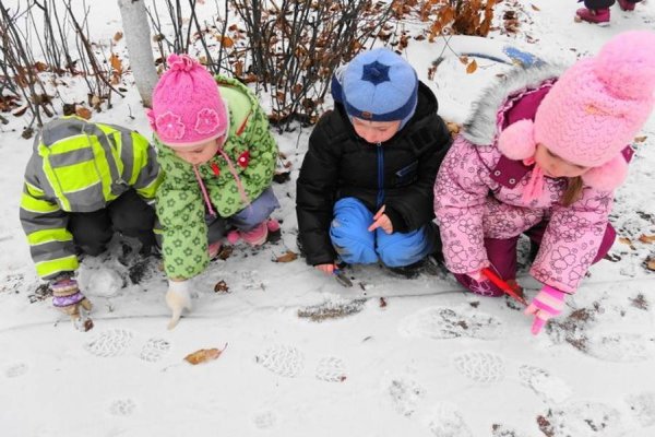 Весенняя прогулка в детском саду