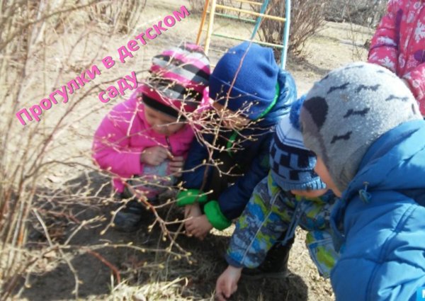 Прогулка в ДОУ