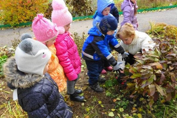 Труд людей весной для дошкольников