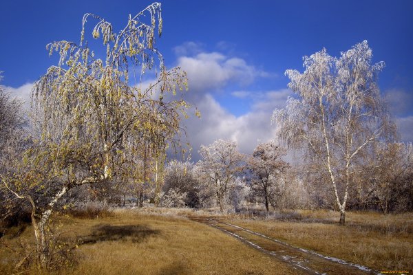 Поздняя осень