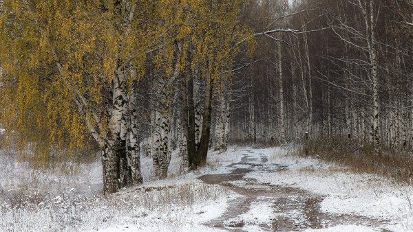 Снег на Березе осенью