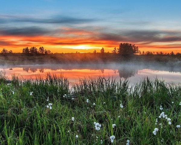 Горы цветы рассвет