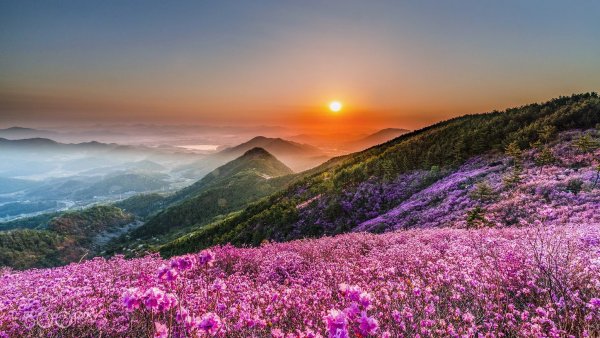 Красивые летние пейзажи