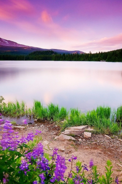 Весна Эстетика