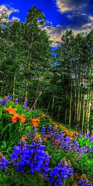 Весенние цветы заставка