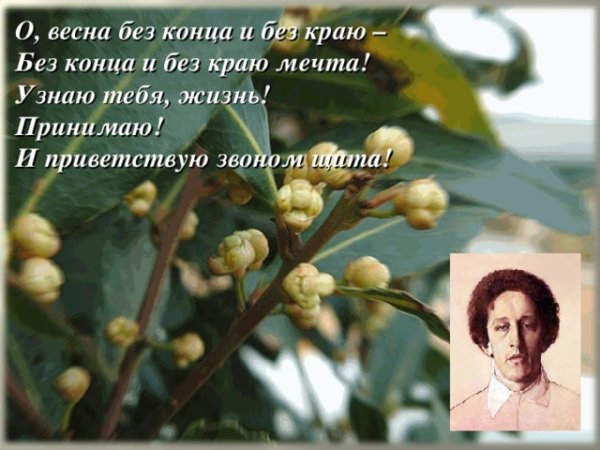 Блок стихи о весне