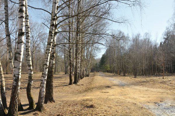 Город Королев весной