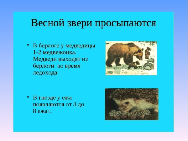 Синичкин календарь Бианки май