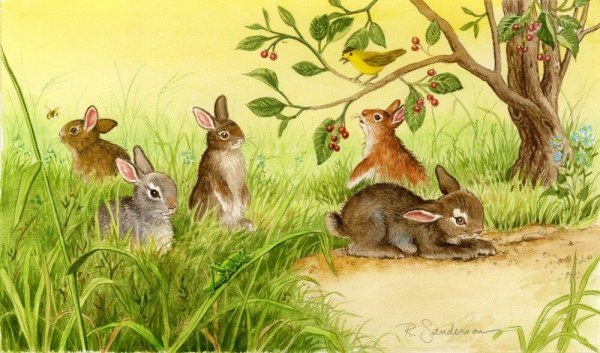Зайцы на полянке