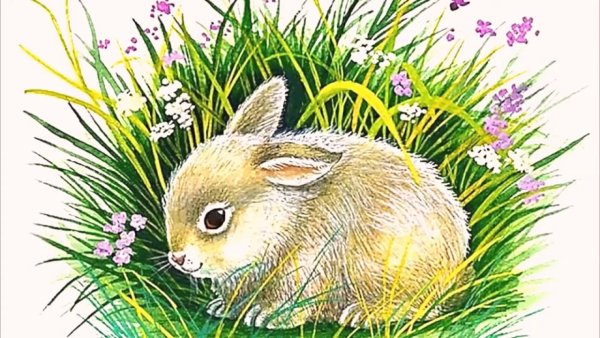 Художники анималисты заяц Русак