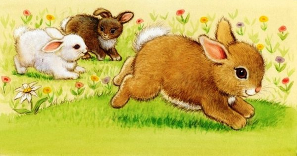 Животные зимой в лесу для детей