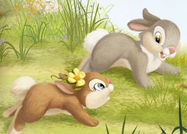 Зайцы на Поляне