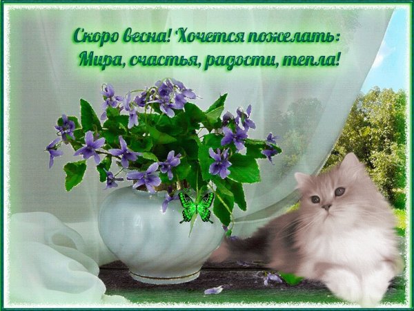 Доброго весеннего утра смешные