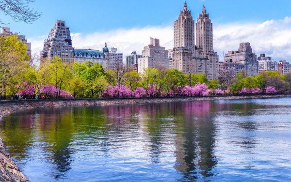 Центральный парк, Нью Йорк, США