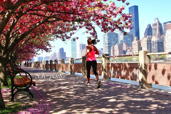 Центральный парк Нью-Йорк бег