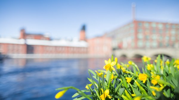 Санкт-Петербург весной