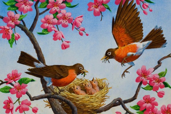 Василий Белов скворцы скворечник