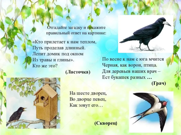 Лексическая тема перелетные птицы для дошкольников