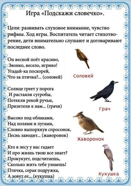 Перелетные и зимующие птицы