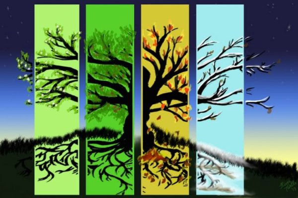 Фон 4 времени года