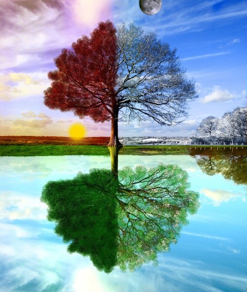 Четыре времени года