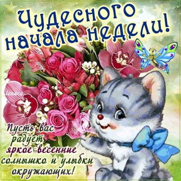 Хорошей недели и отличного настроения