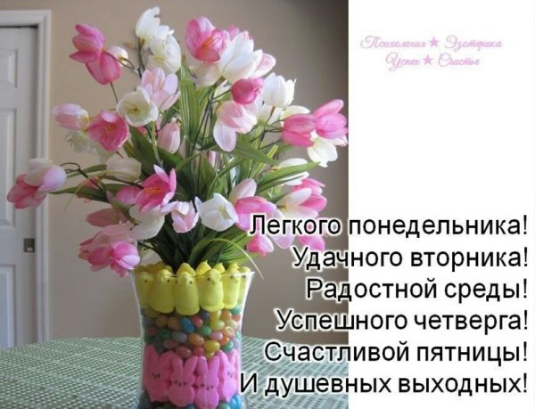 Доброго весеннего понедельника