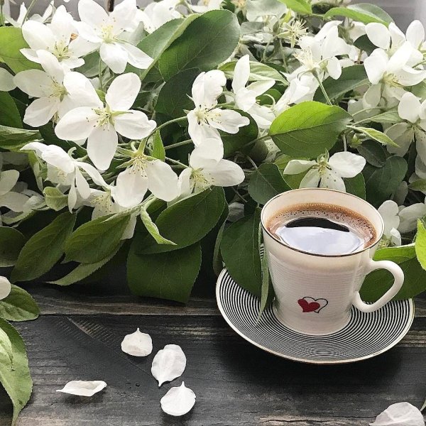 Кофе Весна цветы