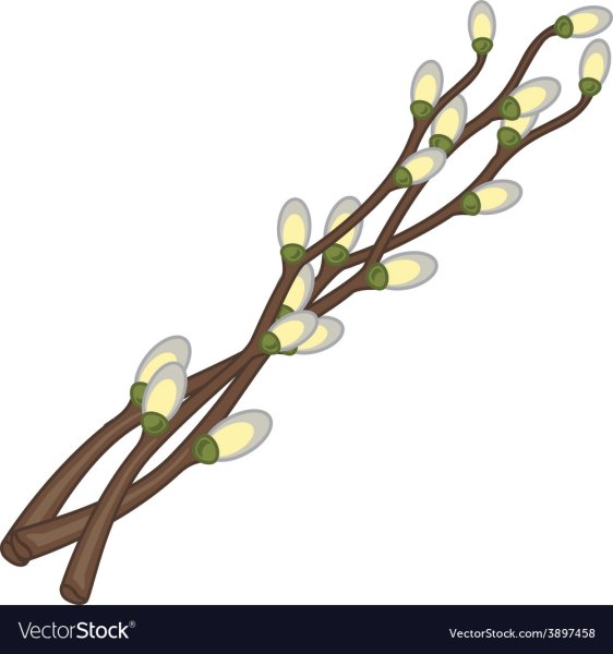 Весна почки на деревьях рисование