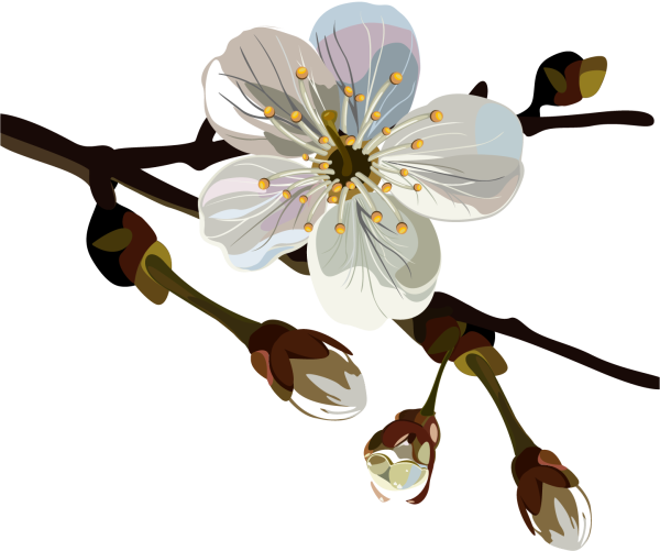 Рисование акварелью ветка